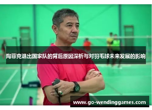 陶菲克退出国家队的背后原因深析与对羽毛球未来发展的影响